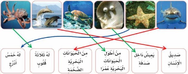 توصيل المخلوقات البحرية
